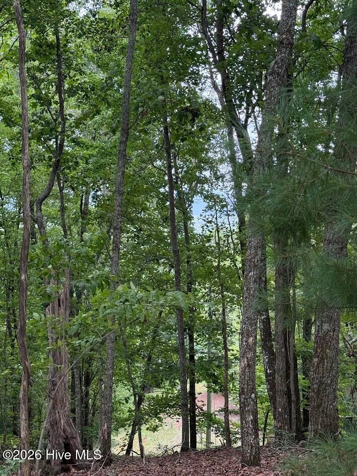 Photo of 46 Pine Cove Lane, Murphy, NC 28906 (MLS # 100596949)