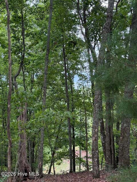Vacant Land For Sale - LOT #46 Pine Cove Lane<br/> Cherokee County, Murphy, NC 28906