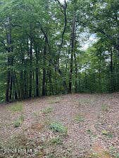 Photo of 46 Pine Cove Lane, Murphy, NC 28906 (MLS # 100596949)