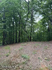 Lot #46 Pine Cove Lane
