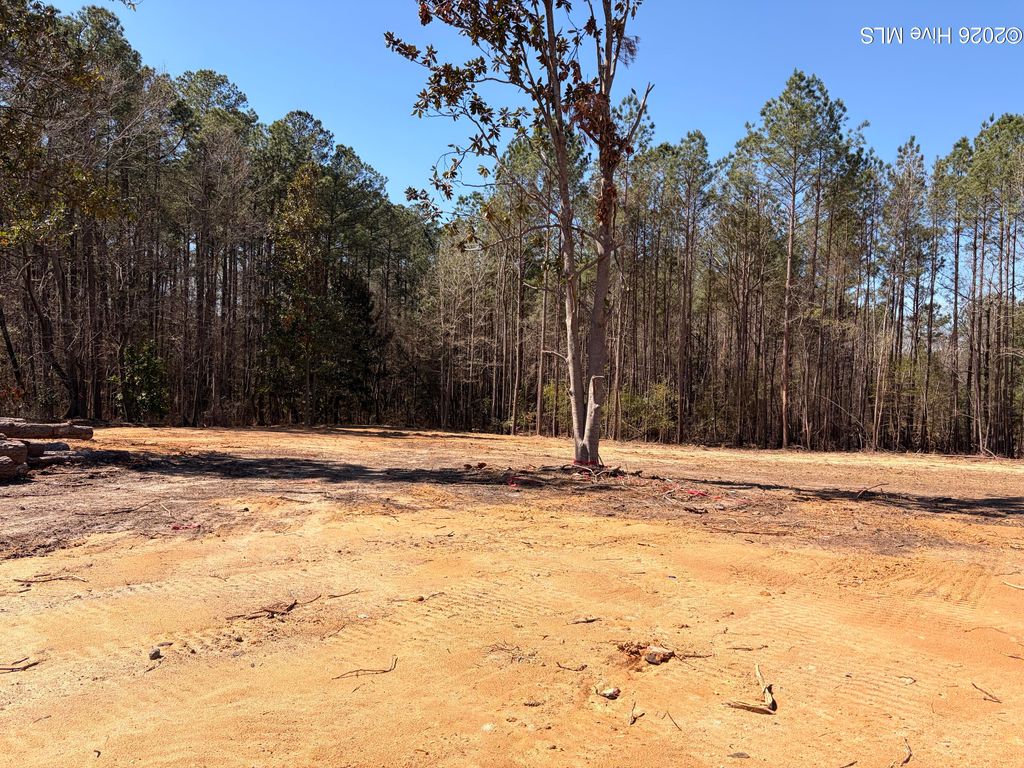 Photo of 880 Doubs Chapel Road, West End, NC 27376 (MLS # 100560694)