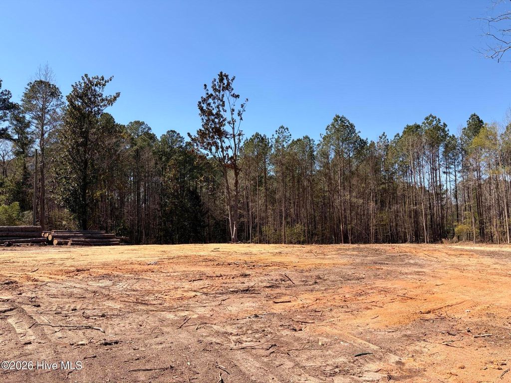 Photo of 880 Doubs Chapel Road, West End, NC 27376 (MLS # 100560694)