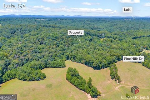 Vacant Land For Sale - Pinehill Court<br/> Lula, GA 30554