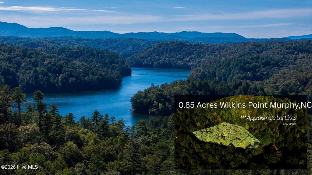 Photo of 46 Wilkins Pt Point, Murphy, NC 28906 (MLS # 100607044)