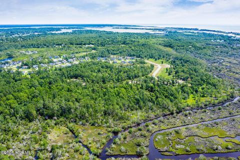 Tiny photo for 353 Landon Lane, Sneads Ferry, NC 28460 (MLS # 100541942)