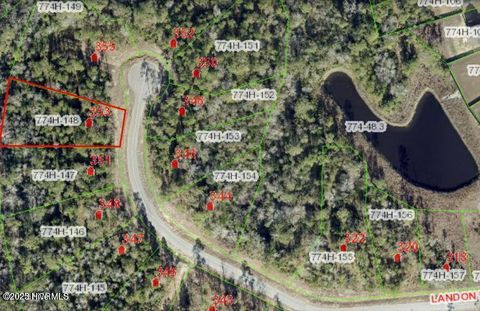 Photo of 353 Landon Lane, Sneads Ferry, NC 28460 (MLS # 100541942)