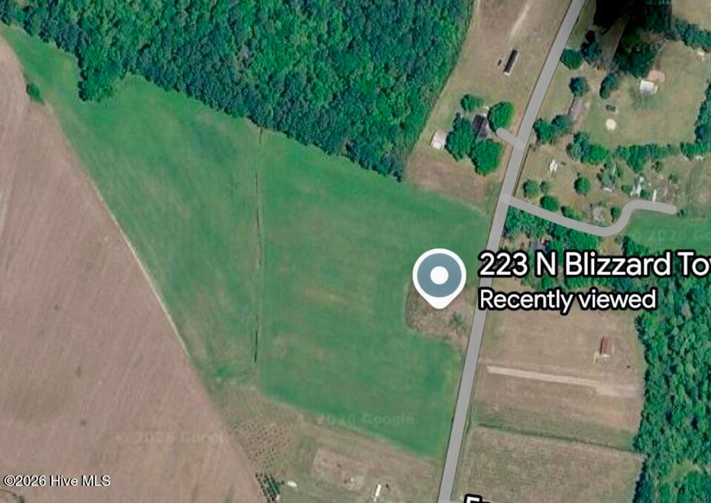 Photo of 223 N Blizzard Town Road, Beulaville, NC 28518 (MLS # 100554995)