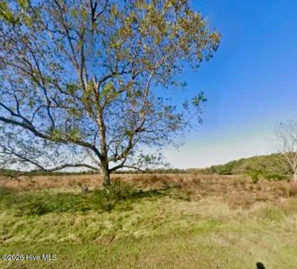 Photo of 223 N Blizzard Town Road, Beulaville, NC 28518 (MLS # 100554995)