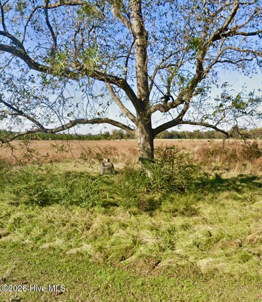 Photo of 223 N Blizzard Town Road, Beulaville, NC 28518 (MLS # 100554995)