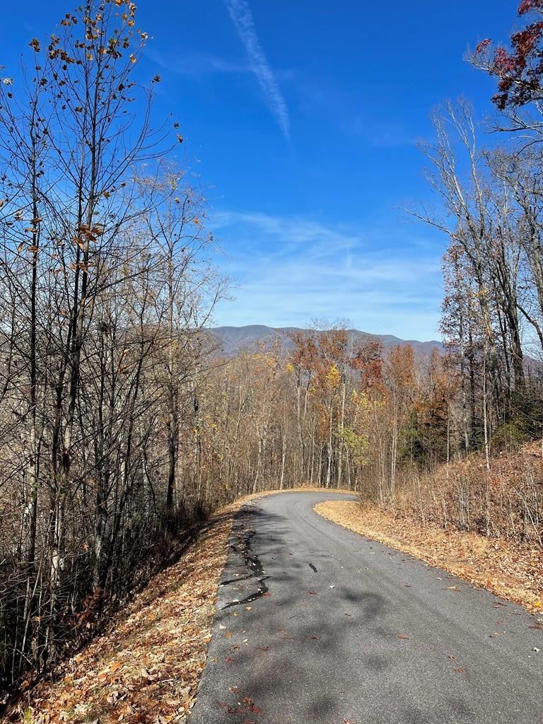 Lot 31j 31J Ash Branch Road - Photo 2