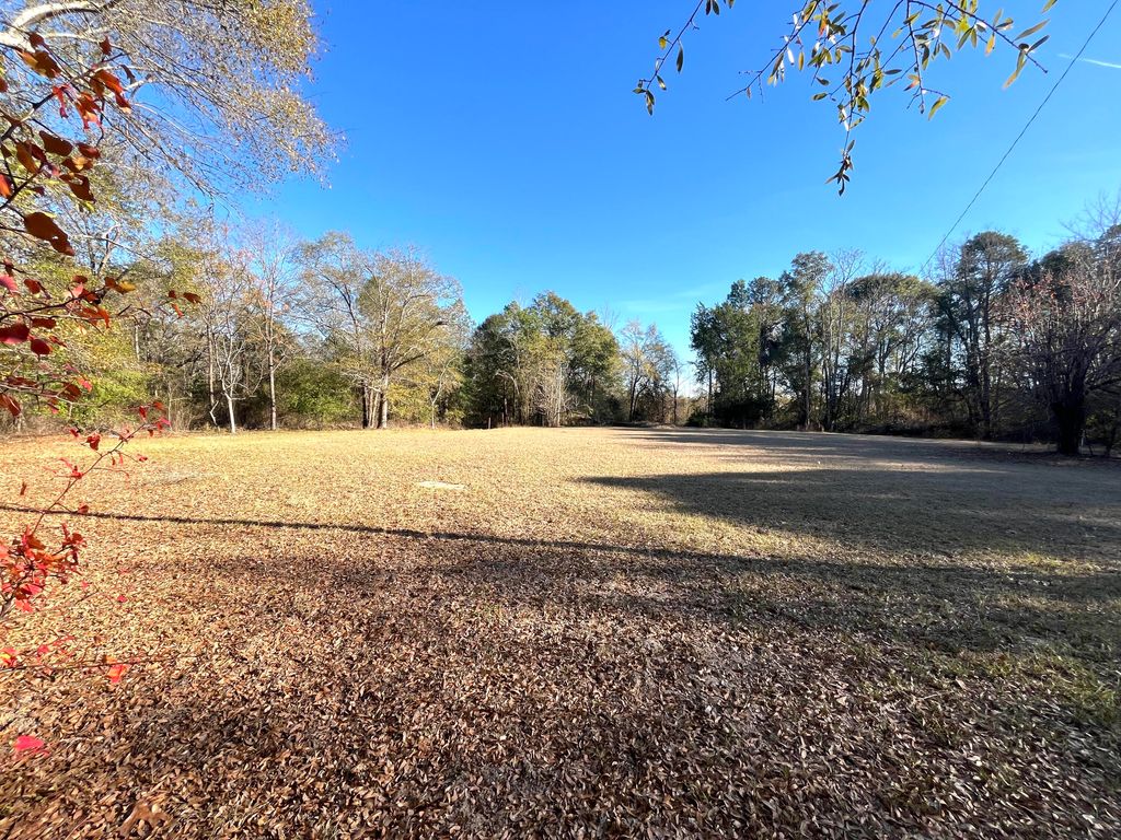Photo of 2231 Old Waynesboro Road, Hephzibah, GA 30815 (MLS # 550109)