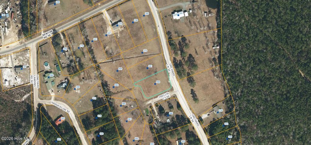 Photo of 598 Trellis Court SE, Bolivia, NC 28422 (MLS # 100551758)