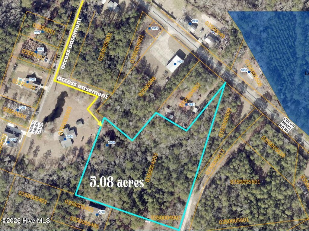 Photo of 7058 Healy Haven Lane NE, Leland, NC 28451 (MLS # 100569832)