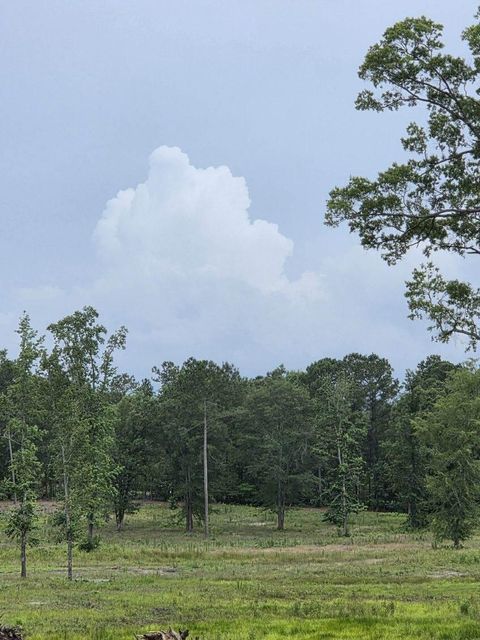 Vacant Land For Sale - 365 Shagbark Way<br/> Harlem, GA 30814