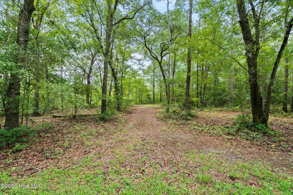 Photo of 167 Falling Water Way, Wallace, NC 28466 (MLS # 100600558)