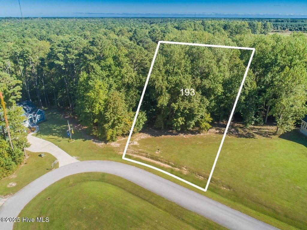 Photo of 28 Palm Court, Minnesott Beach, NC 28510 (MLS # 100422738)