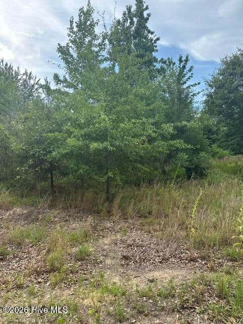 Photo of Tbd Old Place Road, Ellerbe, NC 28338 (MLS # 100586894)