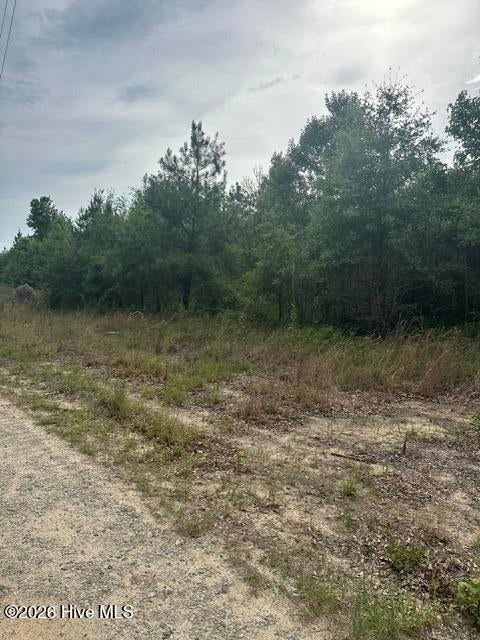 Photo of Tbd Old Place Road, Ellerbe, NC 28338 (MLS # 100586894)