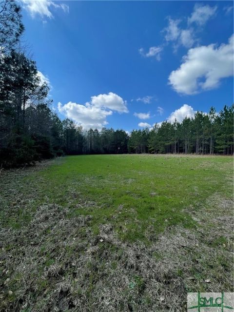 Vacant Land For Sale - Fish Road<br/> Newington, GA 30446