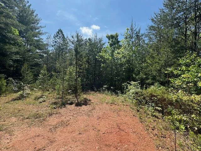 Lot 9 Paradise