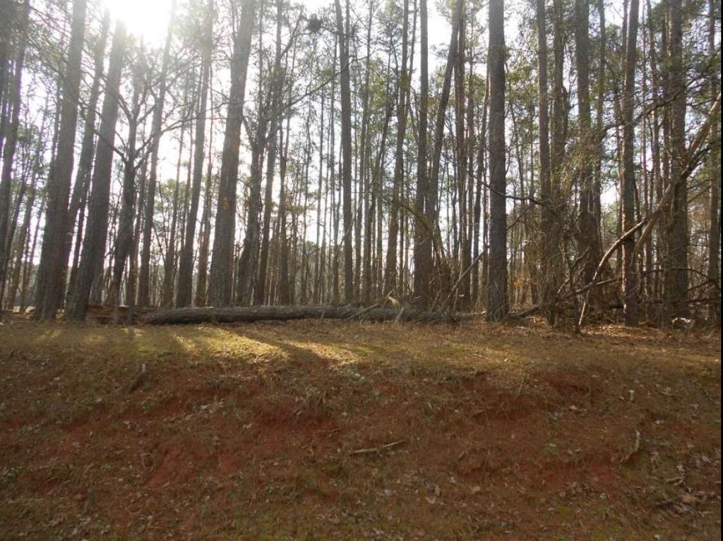Photo of 5016 Autumn Trail, Grovetown, GA 30813 (MLS # 551153)
