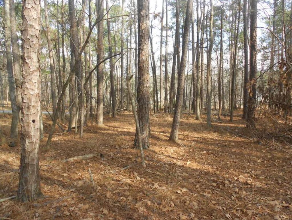 Photo of 5016 Autumn Trail, Grovetown, GA 30813 (MLS # 551153)