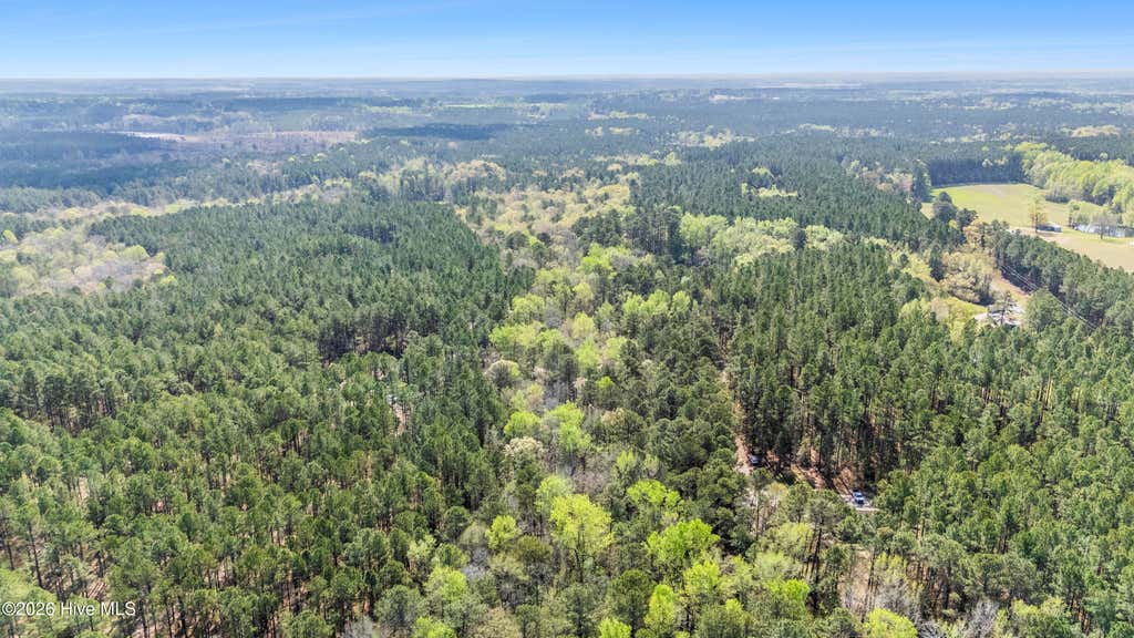 Photo of 215 Cameron Camp Road, Cameron, NC 28326 (MLS # 100593969)