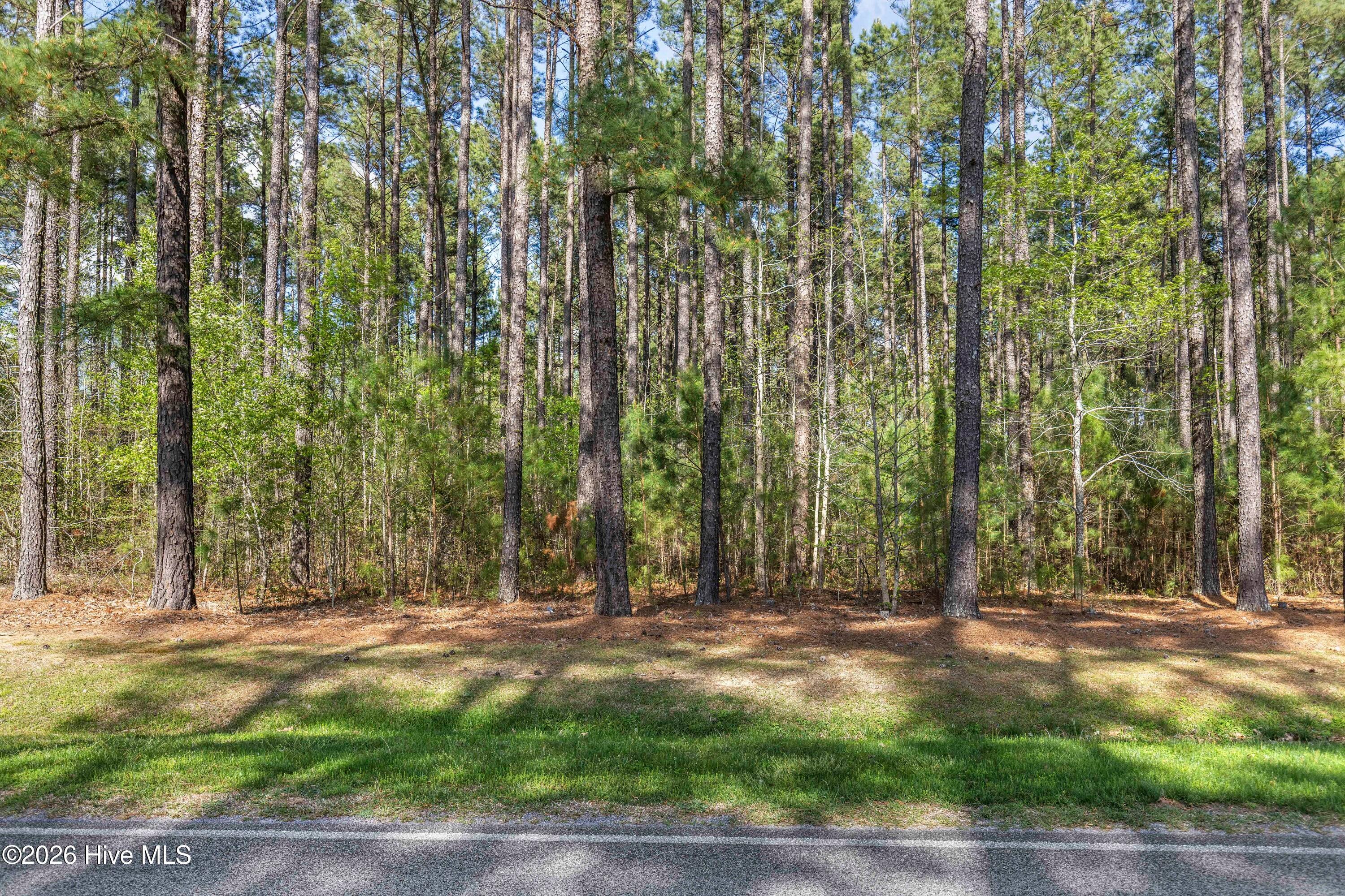 215 Cameron Camp Road
