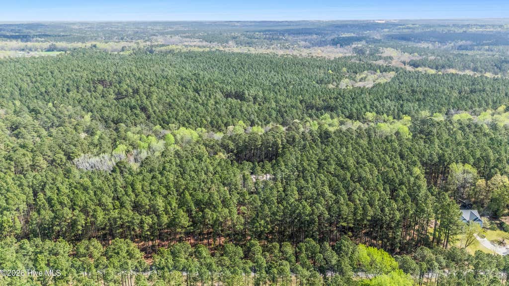 Photo of 215 Cameron Camp Road, Cameron, NC 28326 (MLS # 100593969)