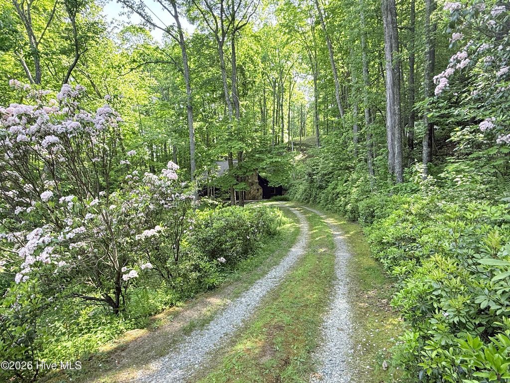 Photo of 1096 Mount Tabor Road, Topton, NC 28781 (MLS # 100582745)