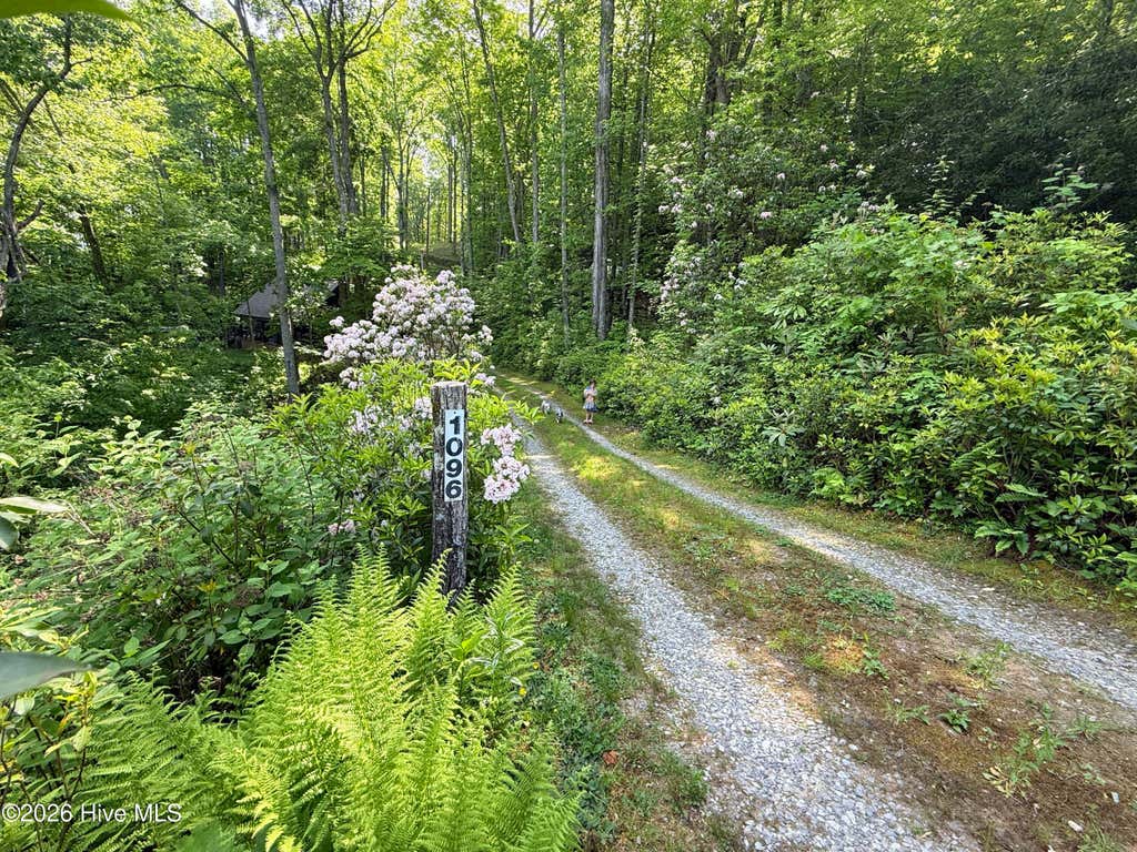 Photo of 1096 Mount Tabor Road, Topton, NC 28781 (MLS # 100582745)