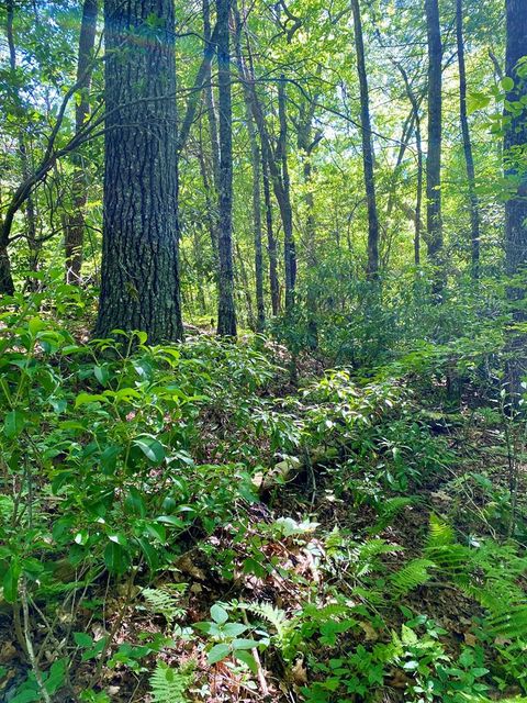 Vacant Land For Sale - 00 Deer Run Rd<br/> Graham County, Robbinsville, NC 28771