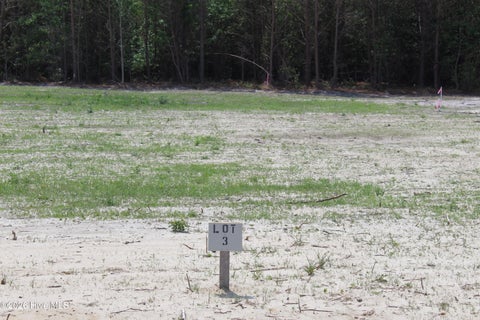Vacant Land For Sale - 940 Blind Bridge Road<br/> Magnolia, NC 28453