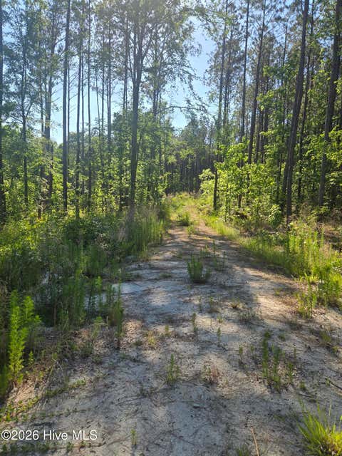Vacant Land For Sale - 1048 Serenity Pointe Drive<br/> Lincoln County, Lincolnton, GA 30817