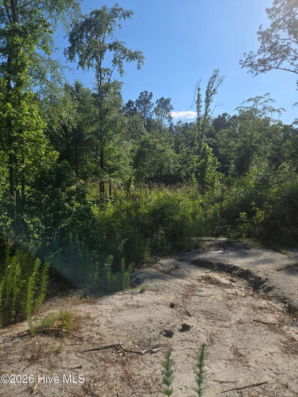 Photo of 1048 Serenity Pointe Drive, Lincolnton, GA 30817 (MLS # 100574926)