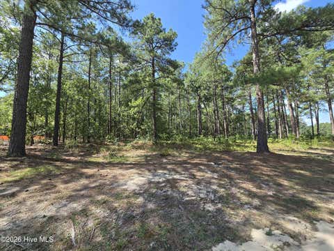 Vacant Land For Sale - TBD Peach Orchard Road<br/> Wagram, NC 28396