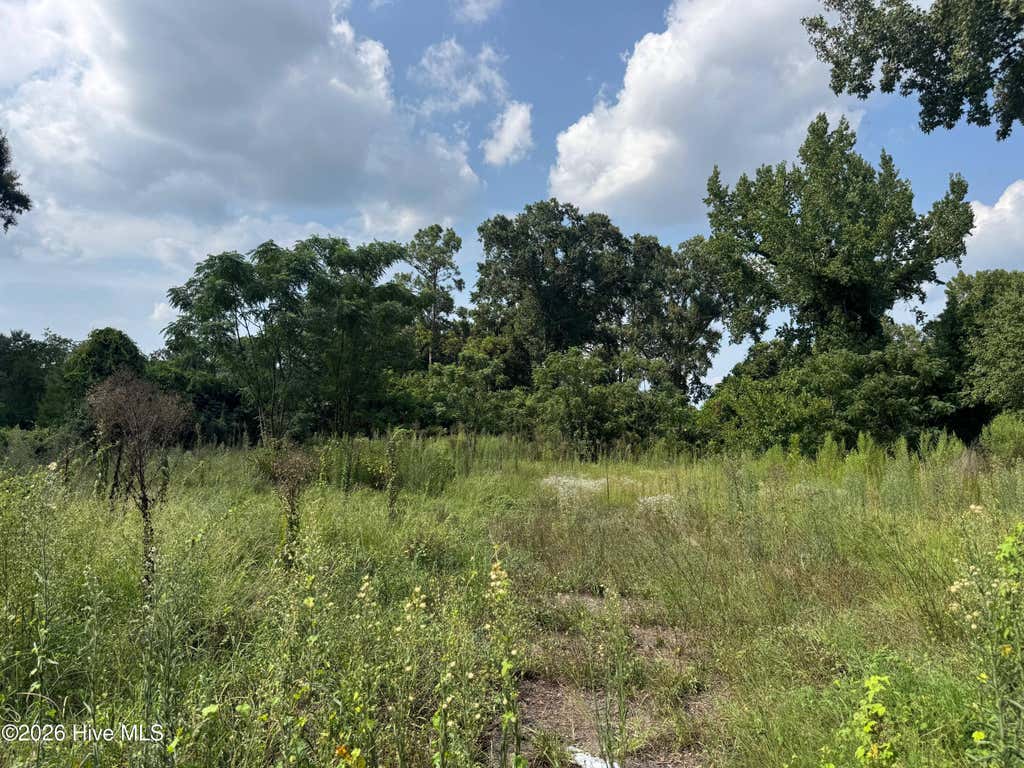 Photo of 2025 Steiner Avenue, Augusta, GA 30901 (MLS # 100593207)