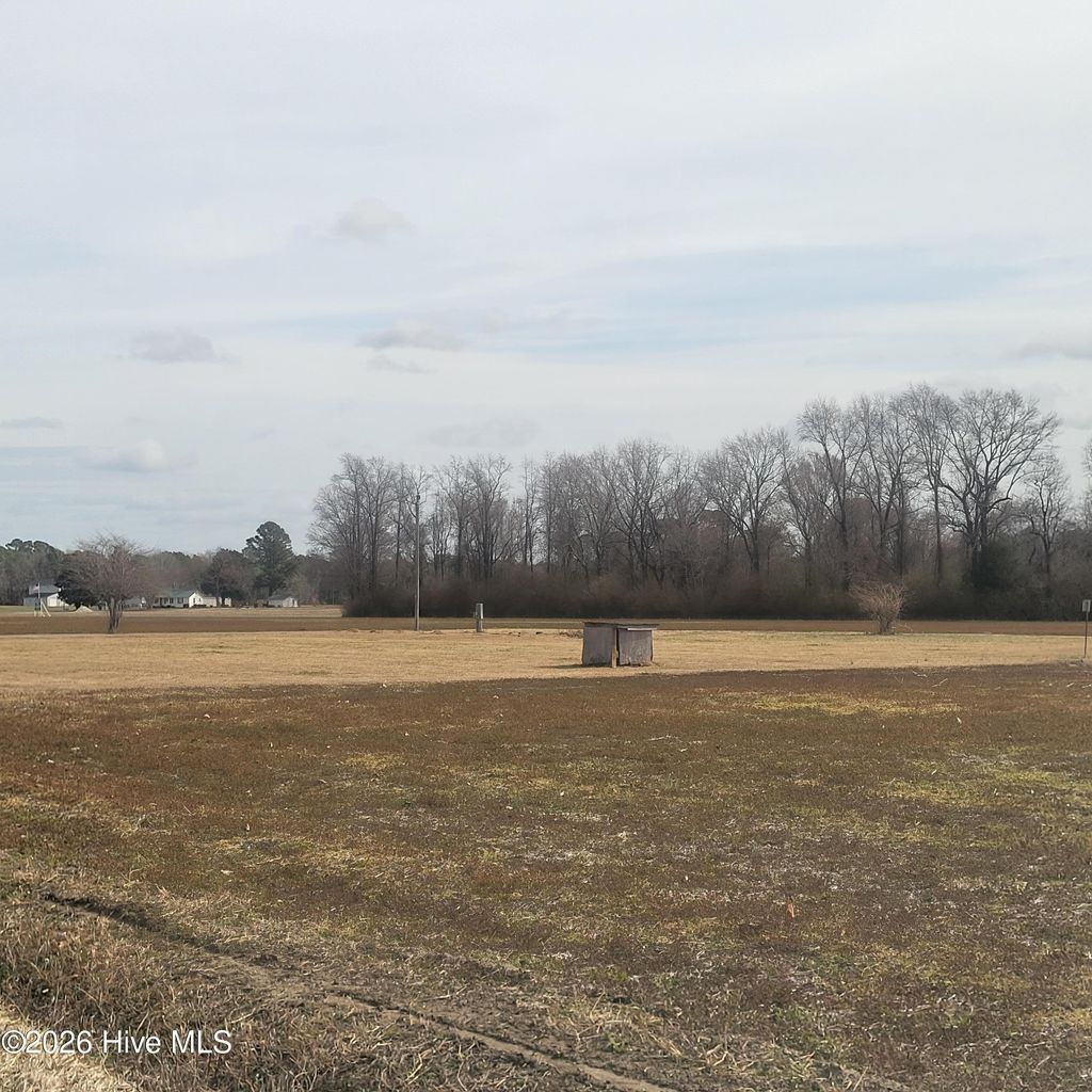 Photo of 10688 Point Caswell Road, Willard, NC 28478 (MLS # 100555585)