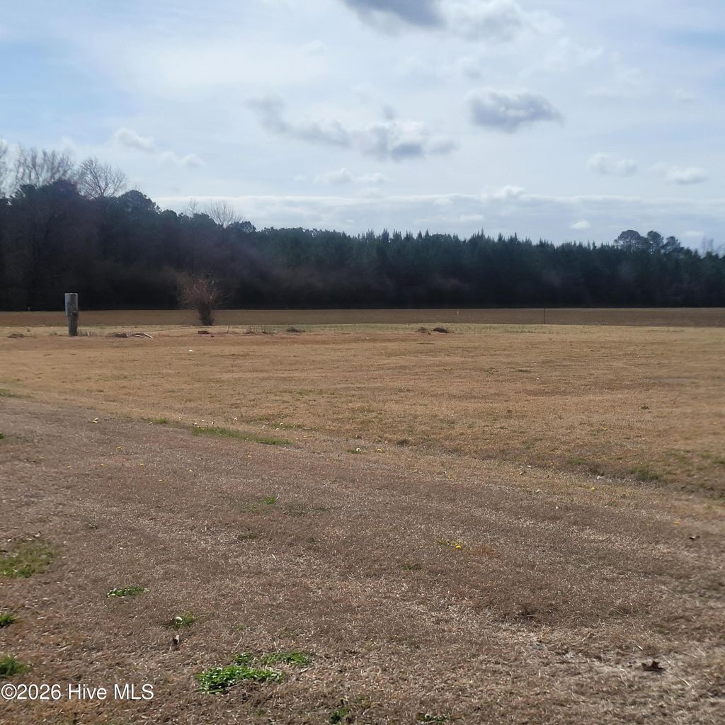 Photo of 10688 Point Caswell Road, Willard, NC 28478 (MLS # 100555585)