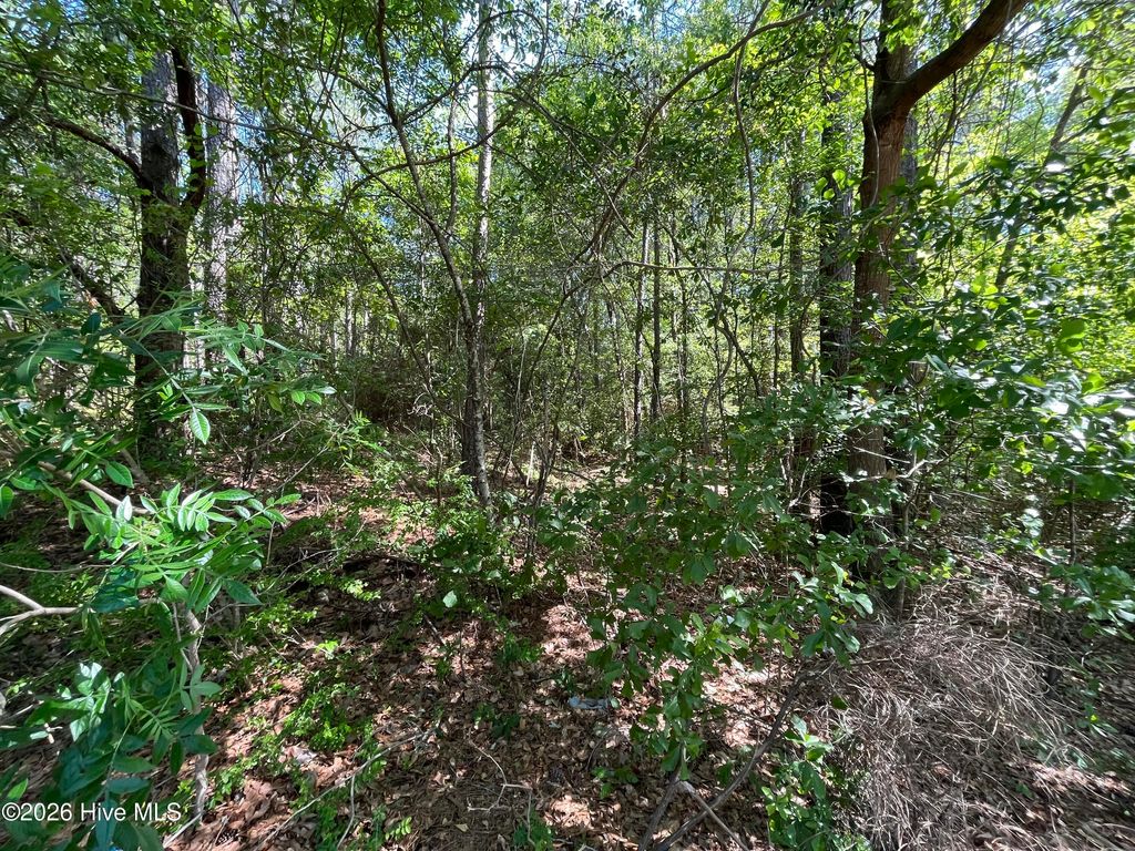 Photo of 304 Eastman Road, Southern Pines, NC (MLS # 100572706)
