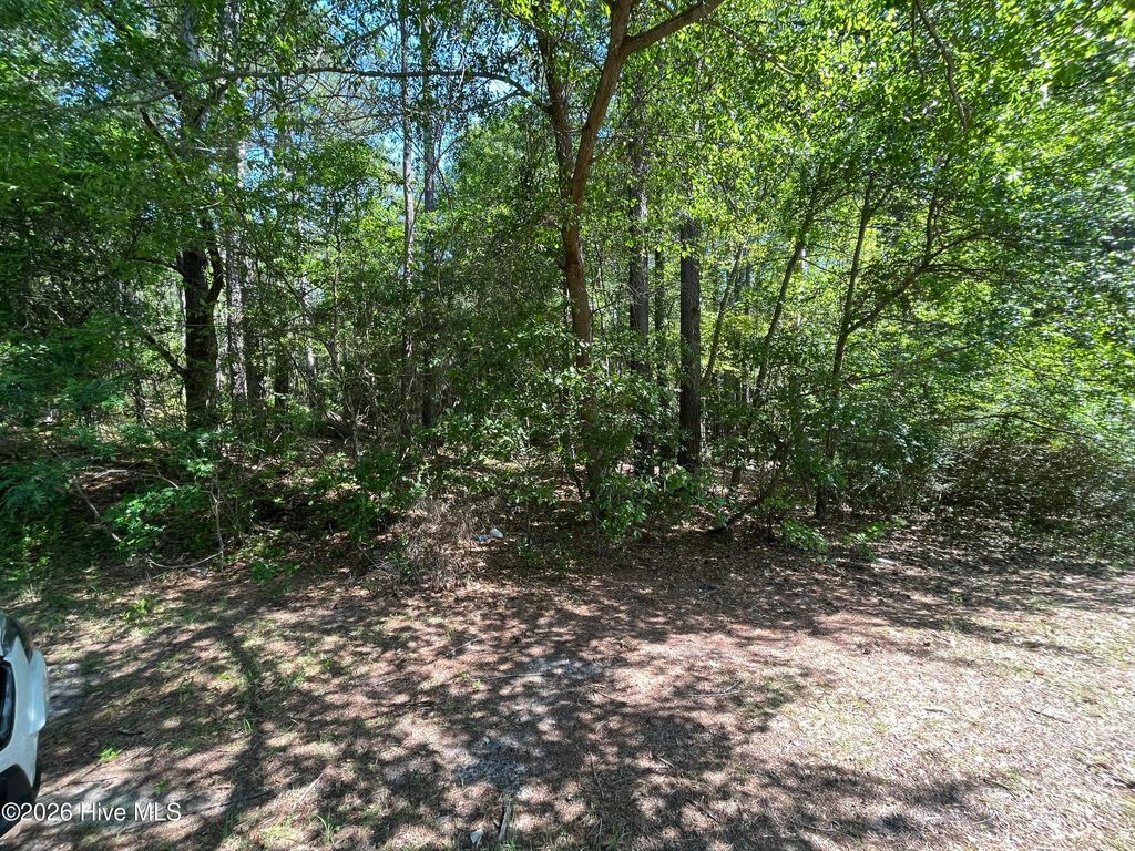 Photo of 304 Eastman Road, Southern Pines, NC (MLS # 100572706)