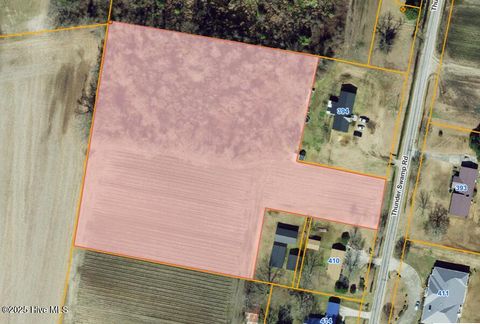 Vacant Land For Sale - PARCEL 6 Thunder Swamp Road<br/> Mount Olive, NC 28365