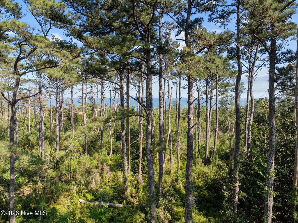 Photo of 1369 Army Road, Davis, NC 28524 (MLS # 100569373)