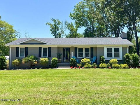 Photo of 132 Egret Point Road, Wilmington, NC 28409 (MLS # 100551838)