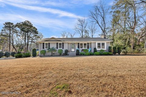 Tiny photo for 132 Egret Point Road, Wilmington, NC 28409 (MLS # 100551838)