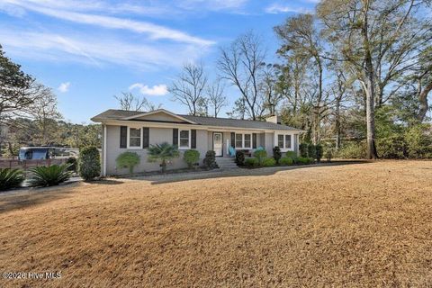 Tiny photo for 132 Egret Point Road, Wilmington, NC 28409 (MLS # 100551838)