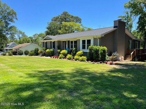 Tiny photo for 132 Egret Point Road, Wilmington, NC 28409 (MLS # 100551838)