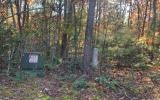 Vacant Land For Sale - 2B Ashley Trail<br/> Warne, NC 28909