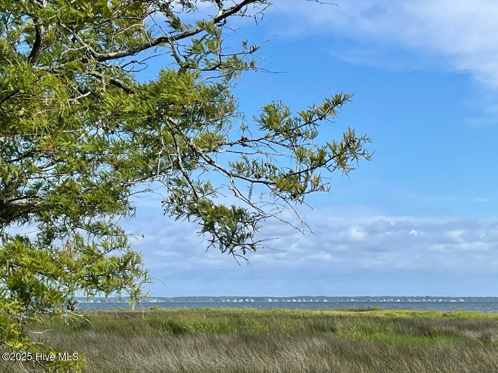 Photo of 239 Garbacon Drive, Beaufort, NC 28516 (MLS # 100524237)