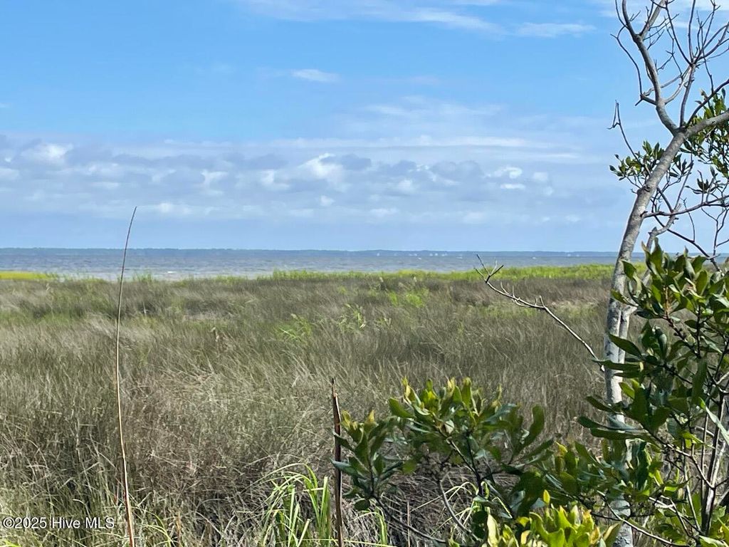 Photo of 239 Garbacon Drive, Beaufort, NC 28516 (MLS # 100524237)